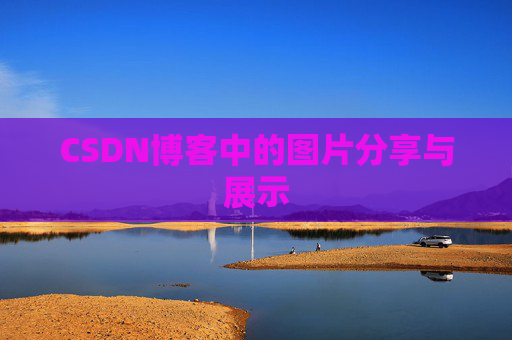 CSDN博客中的图片分享与展示
